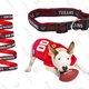 NFL Pet Jersey, Collar, and Leash Combo | $31 | Chewy